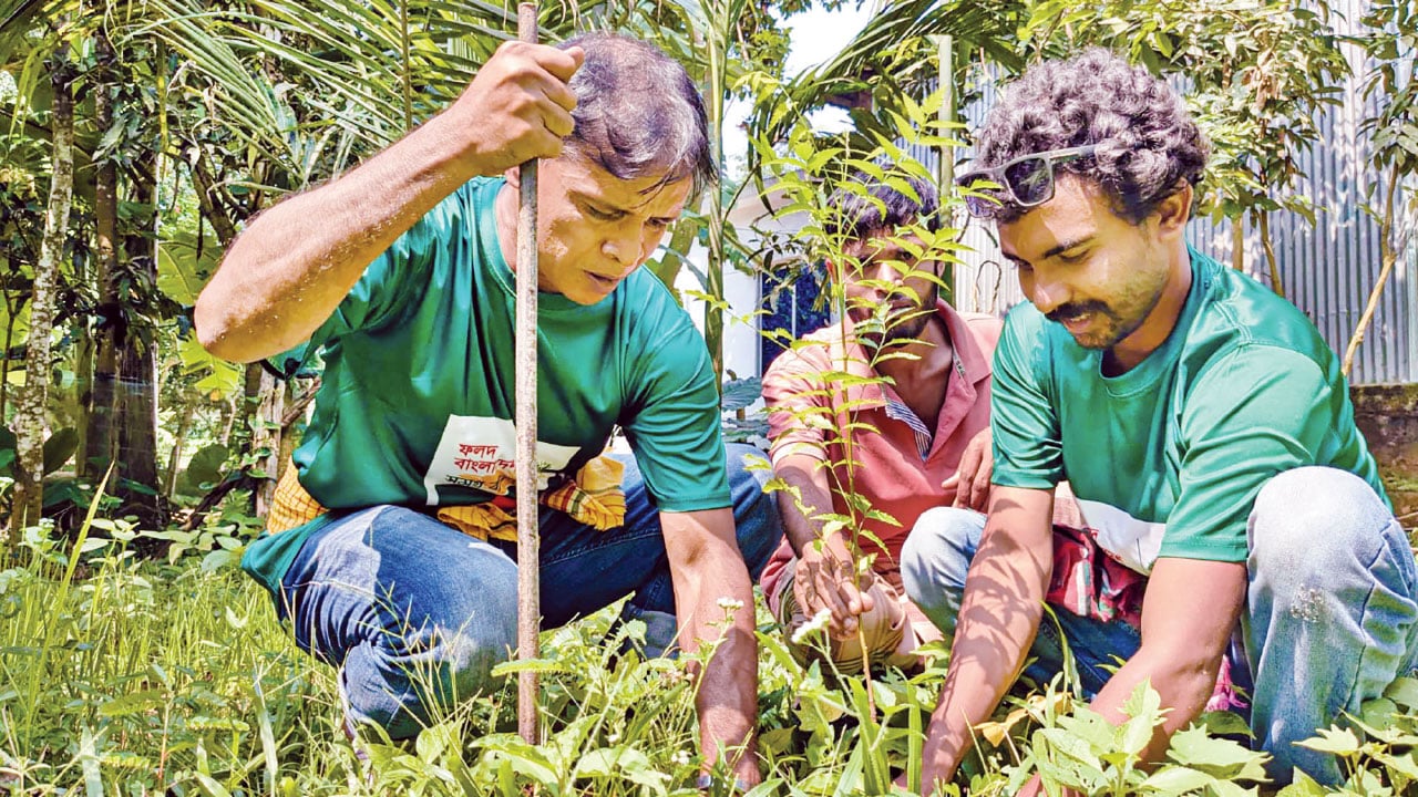 গাছের-কান্না-শুনে-ছুটে-চলেন-রাতুল-মুন্সি-2