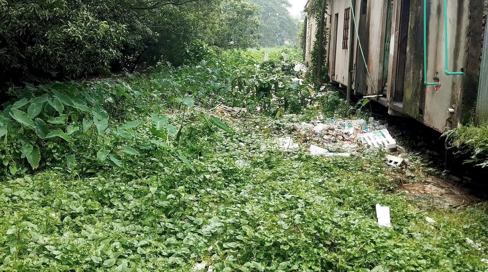 রামগঞ্জবাসীর মরণফাঁদ বীরেন্দ্র খাল