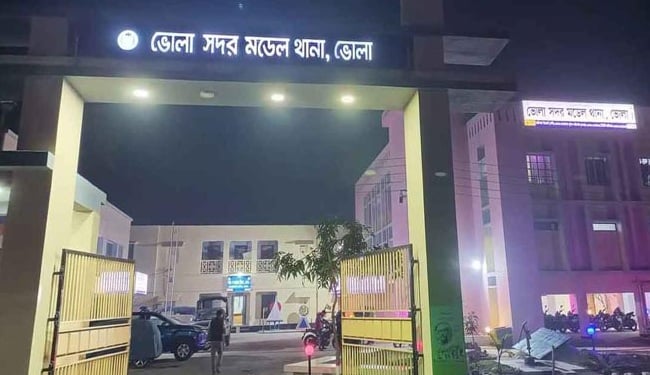 সালিশ করতে গিয়ে বিএনপি নেতা খুন