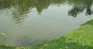 ঈদগাঁওয়ে পুকুর থেকে ৩ মেয়ে শিশুর লাশ উদ্ধার