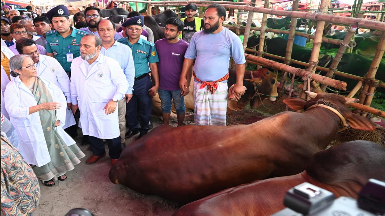 দেশে পর্যাপ্ত কোরবানির পশু মজুদ রয়েছে: প্রাণিসম্পদ উপদেষ্টা