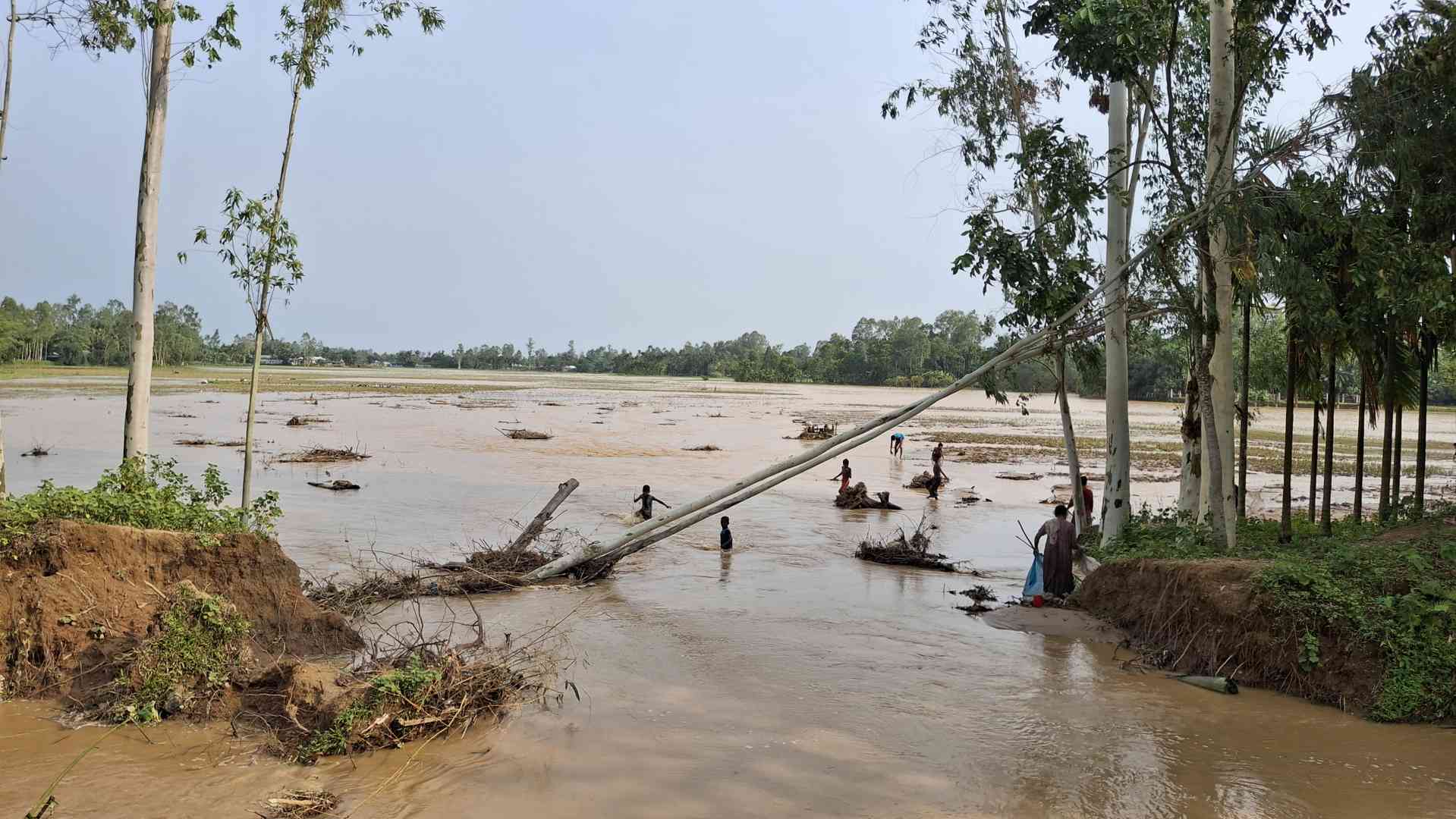 বকশীগঞ্জে পাহাড়ি ঢলে বাঁধ ভেঙে নিম্নাঞ্চলে পানি প্রবেশ, ফসলহানির শঙ্কা