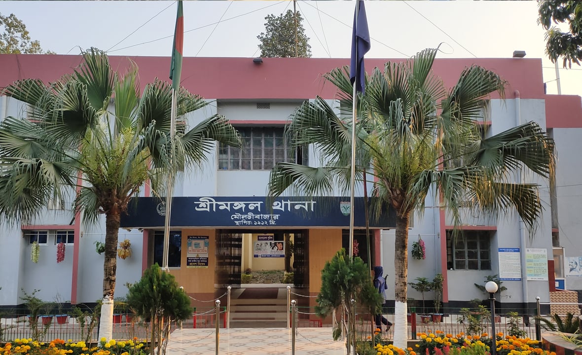 শ্রীমঙ্গলে খামারে বিষ প্রয়োগে ৮টি গরু হত্যা