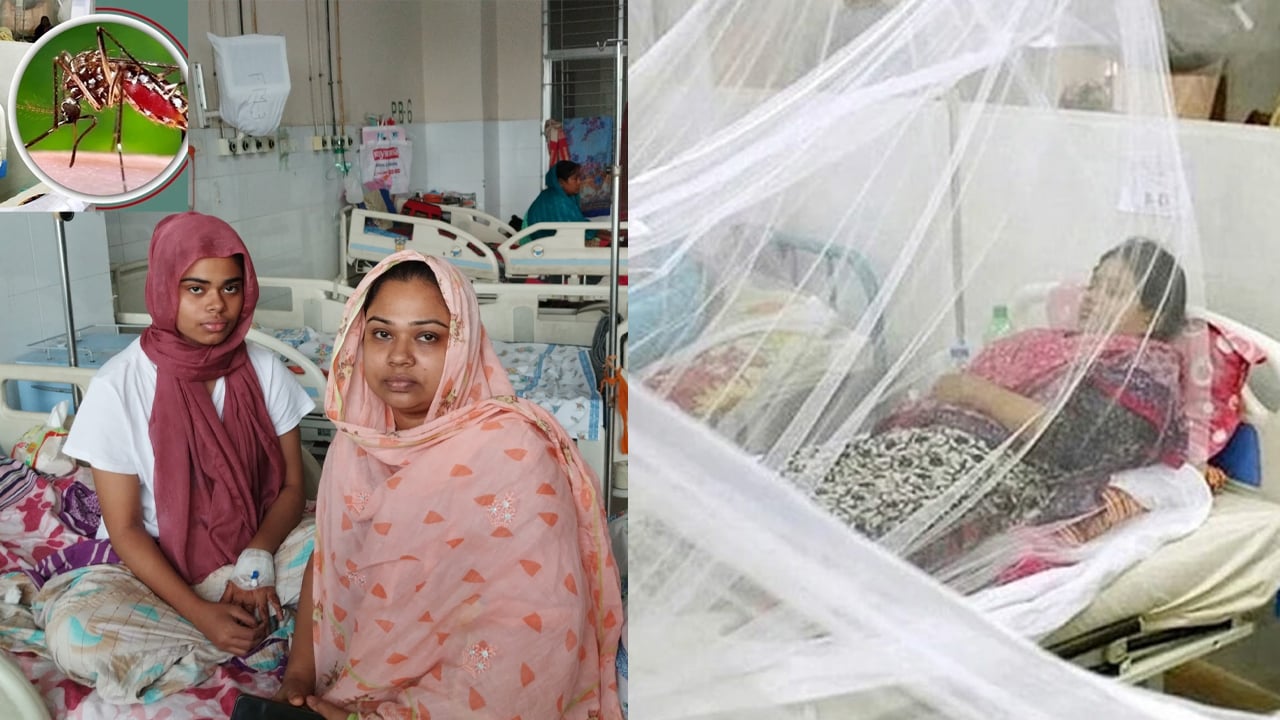 বরিশালে ডেঙ্গু আক্রান্ত ৩২০০ ছাড়ালো, মৃত্যু ৮