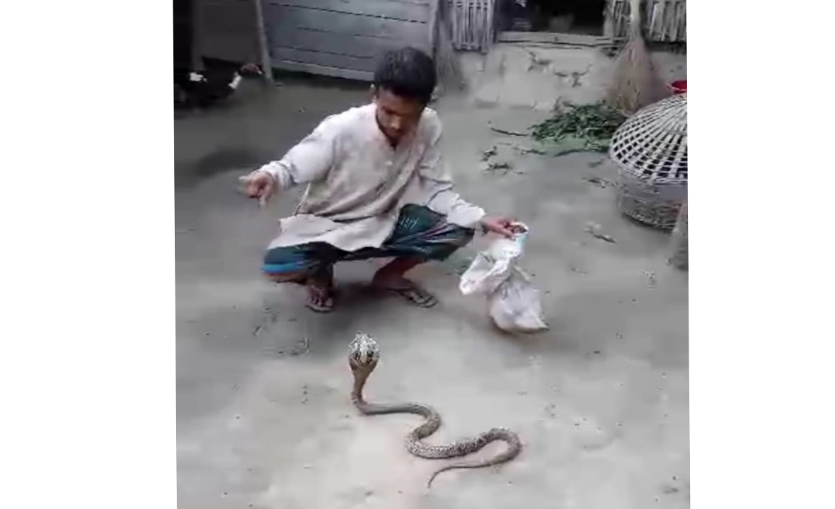 পোষা সাপের দংশনে যুবকের মৃত্যু