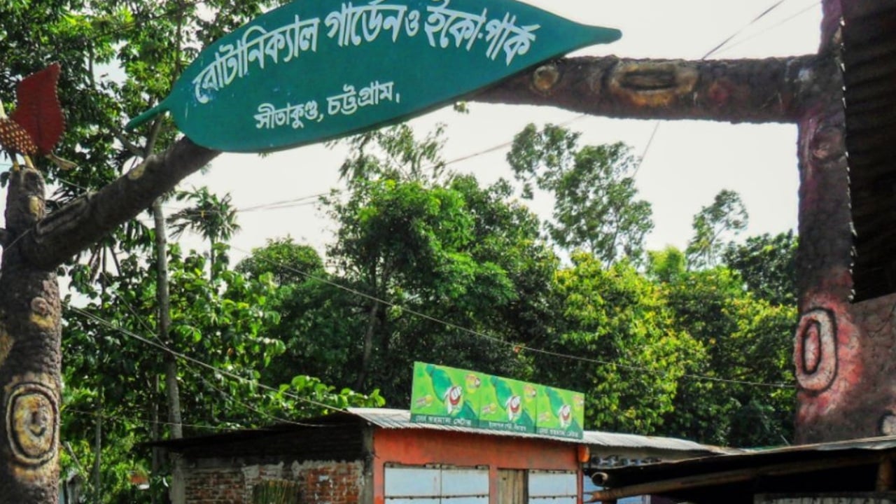 অগ্নিকাণ্ড, পর্যটক চাপ ও দূষণের ঝুঁকিতে সীতাকুণ্ডের দুই হাজার একর বনভূমি