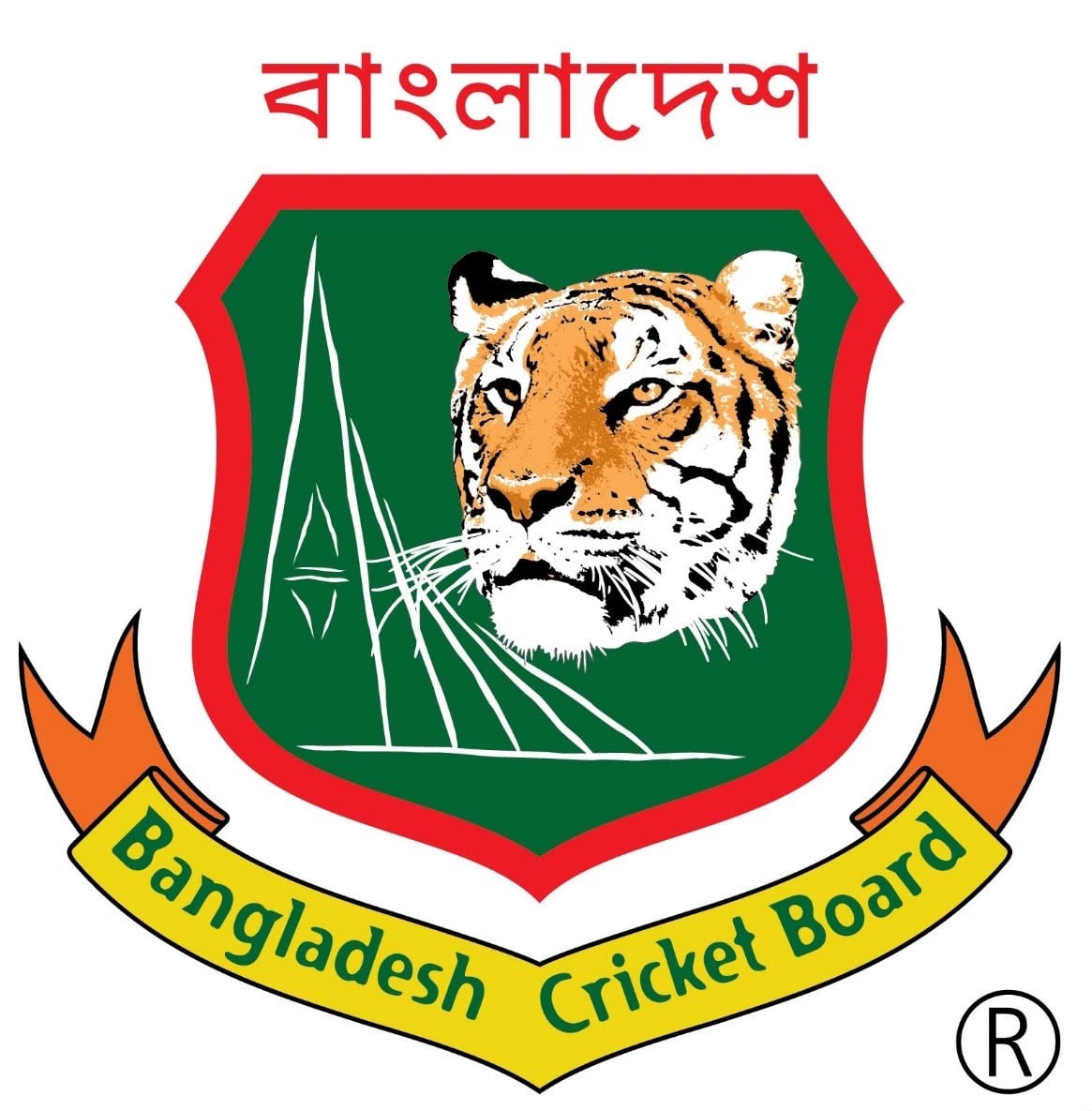 দেশের কিউরেটরদের দক্ষতা বাড়াতে বিসিবির নতুন উদ্যোগ