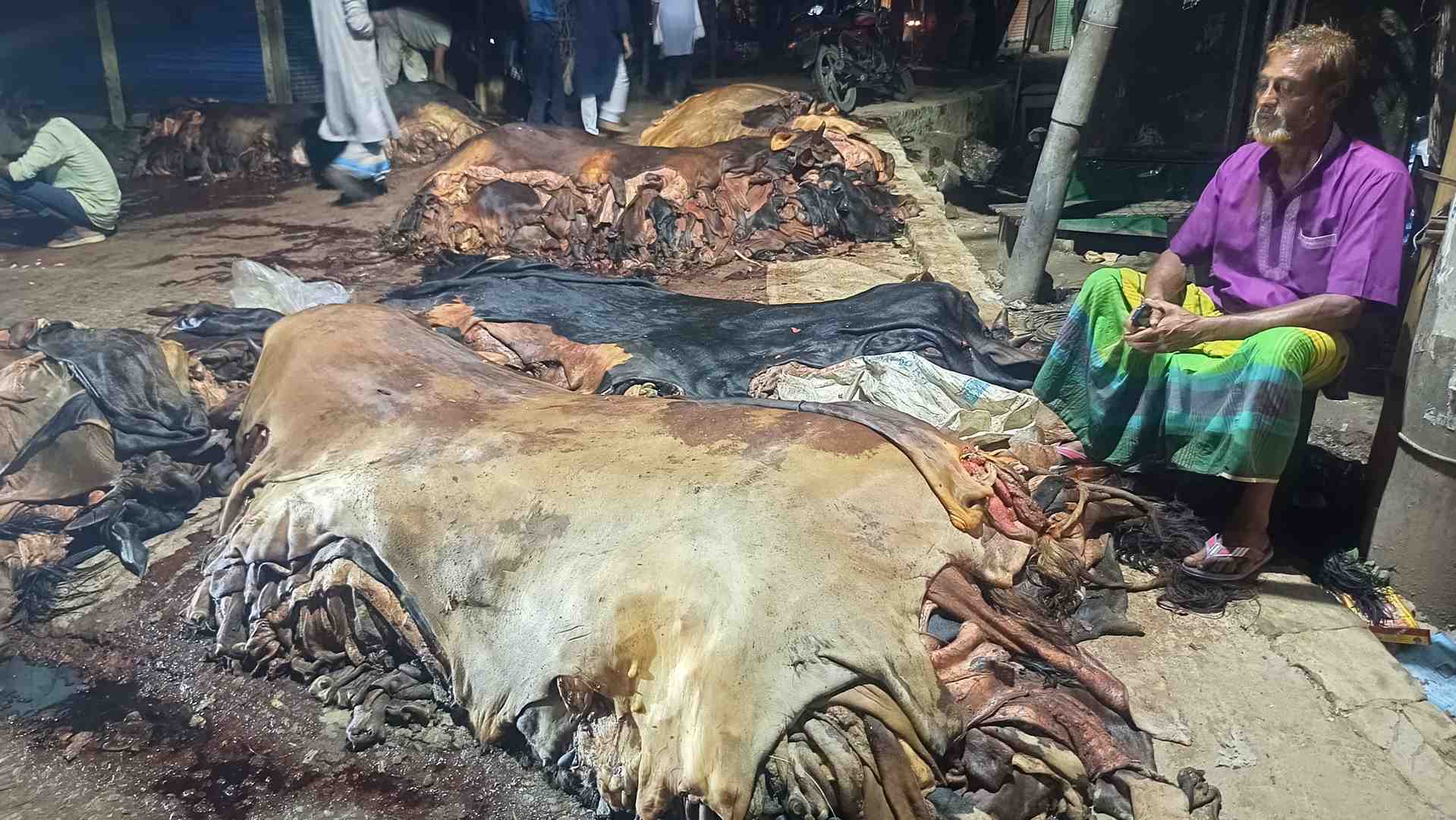 নবীনগরে মৌসুমী চামড়া ব্যবসায়ীরা বিপাকে