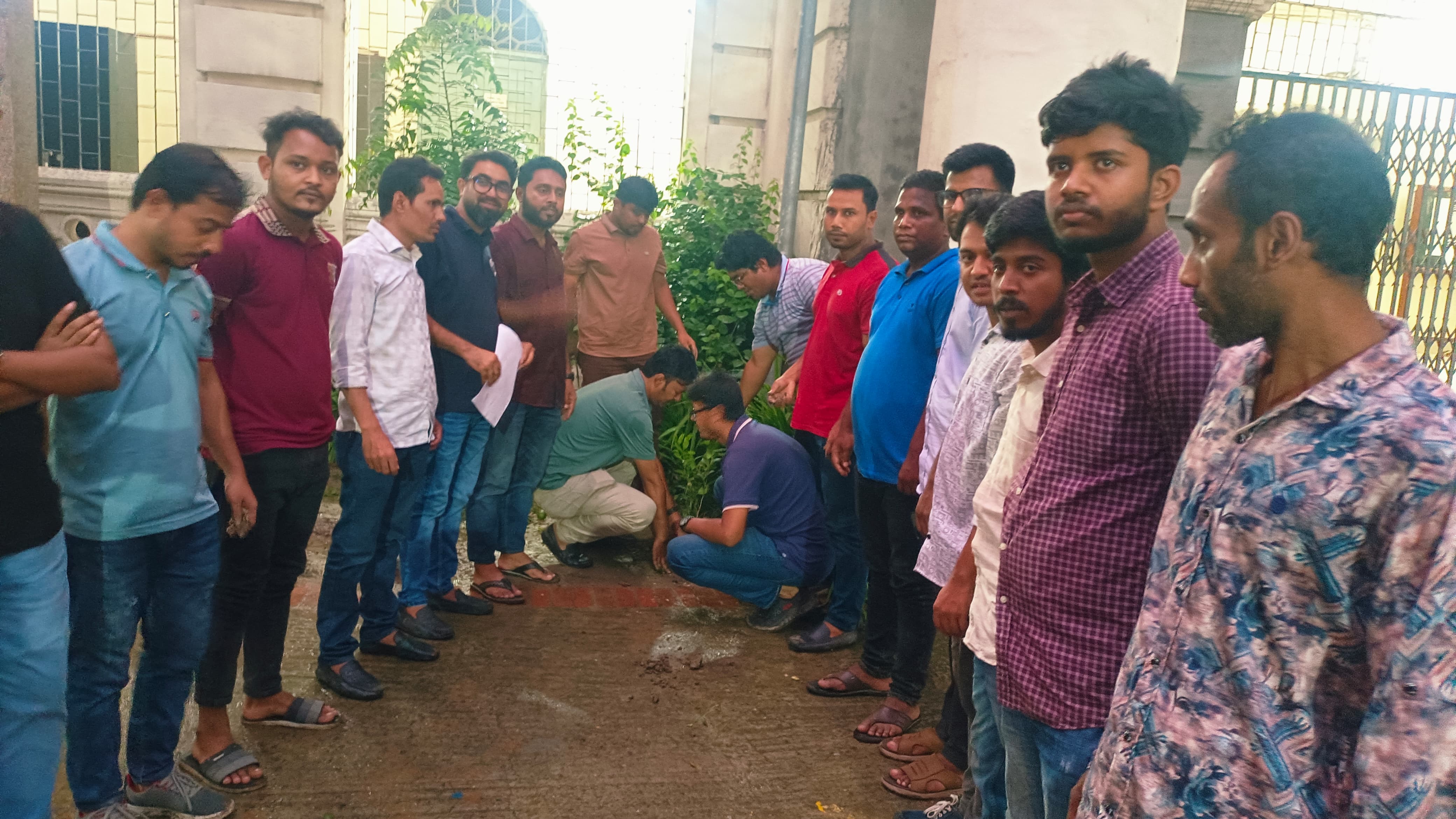 জবিতে ছাত্রদলের বৃক্ষরোপণ কর্মসূচি