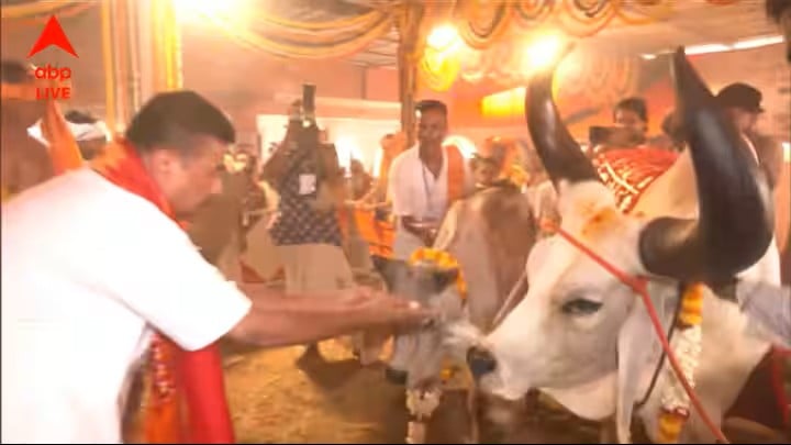 ঈদুল আজহায় সারাদিন ‘গো-সেবা’ করলেন শুভেন্দু