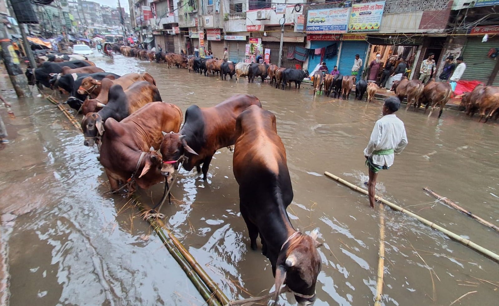 জলাবদ্ধতায় পশুরহাট ও ঈদযাত্রায় চরম ভোগান্তি