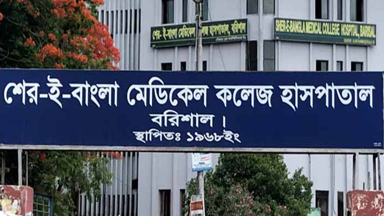 হু হু করে বাড়ছে ডেঙ্গু রোগী