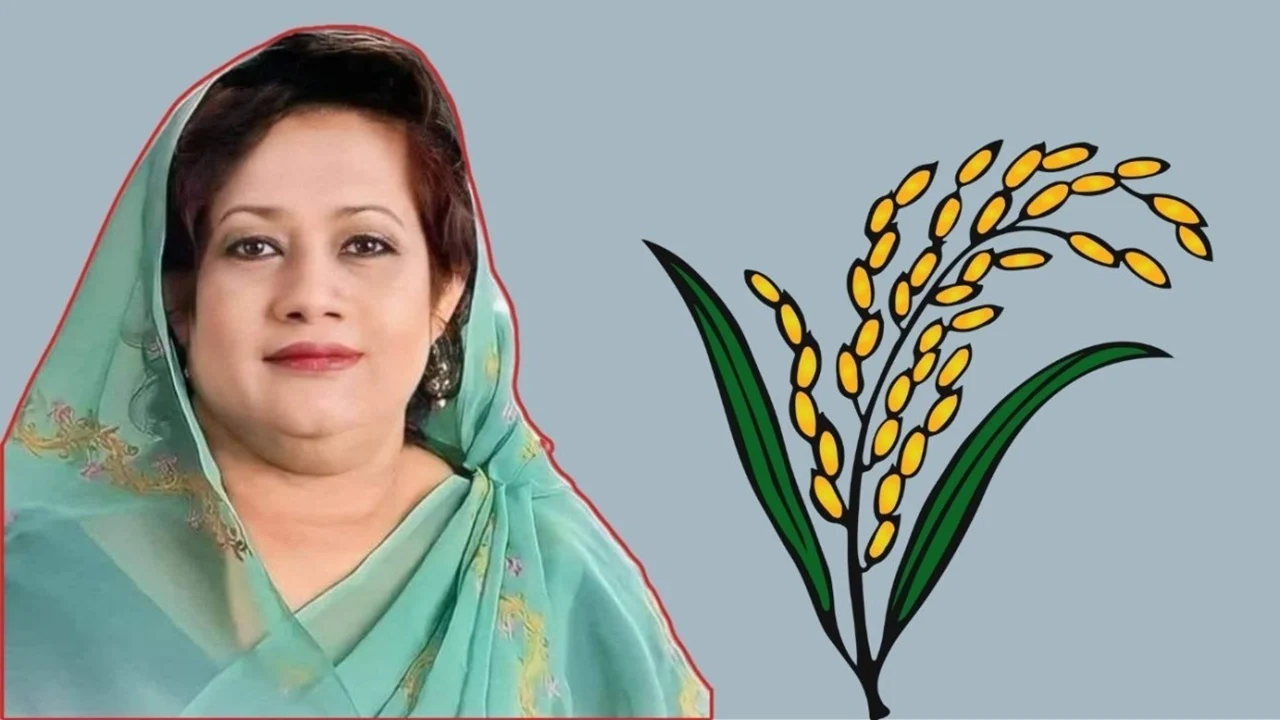 গৃহবধূ থেকে যেভাবে সংসদে ইলেন ভুট্টো