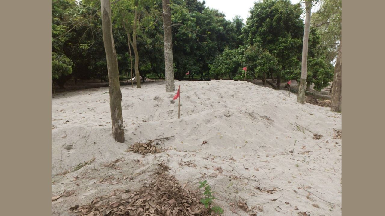 বীরগঞ্জে আত্রাই নদীতে অবৈধ বালু উত্তোলন