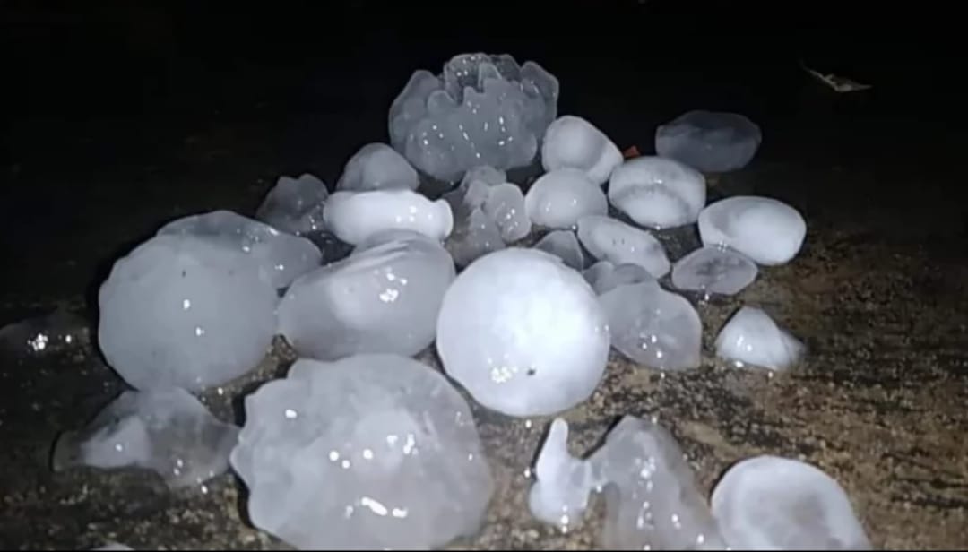 কিশোরগঞ্জে অতি শিলাবৃষ্টিতে হাওরের বোরো ধান বিপদে