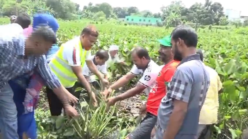 উত্তরখানে খাল পরিষ্কার কার্যক্রম শুরু