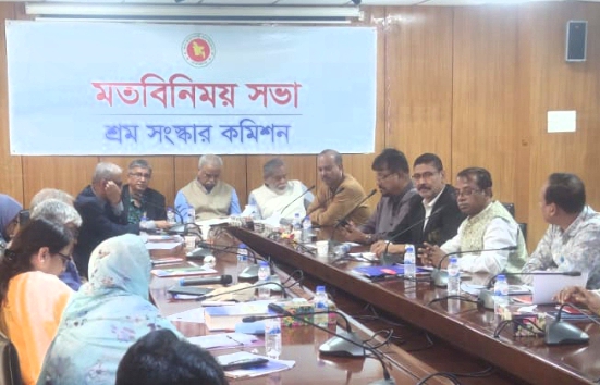 শ্রম সংস্কার কমিশনের সঙ্গে বিএনপির সহযোগী সংগঠনের মতবিনিময় সভা