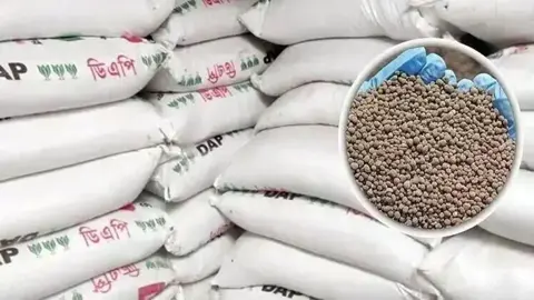 সুনামগঞ্জে এমপির ডিও লেটারে সার ডিলার নিয়োগ