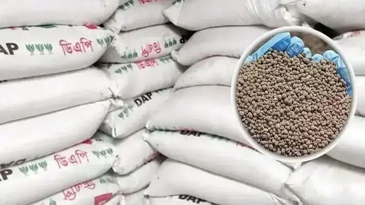সুনামগঞ্জে এমপির ডিও লেটারে সার ডিলার নিয়োগ