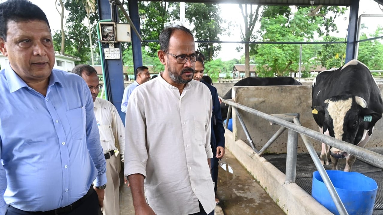 দেশি জাতের গবাদিপশু উন্নয়নে কার্যকর পদক্ষেপ নেওয়া হবে: প্রাণিসম্পদ প্রতিমন্ত্রী