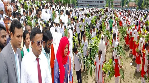 ফলজ-বনজ বৃক্ষে বরিশালকে সবুজ বেষ্টনীতে আচ্ছাদিত করা হবে