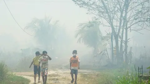 দাবানলের ধোঁয়ায় সেপ্টেম্বরে ইন্দোনেশিয়ায় মৃত্যু ৩ হাজার ৫৬০ 