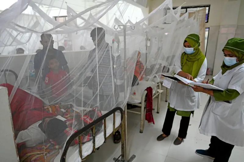 ডেঙ্গুতে মৃত্যু ছাড়াল ৭৩: পুরুষ ৪০, নারী ৩৩