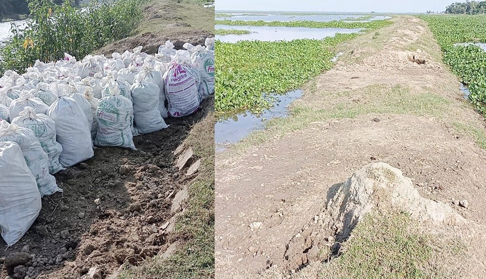 সরকারি রাস্তার মাটি কেটে জলমহালে বাঁধ বিএনপি নেতার