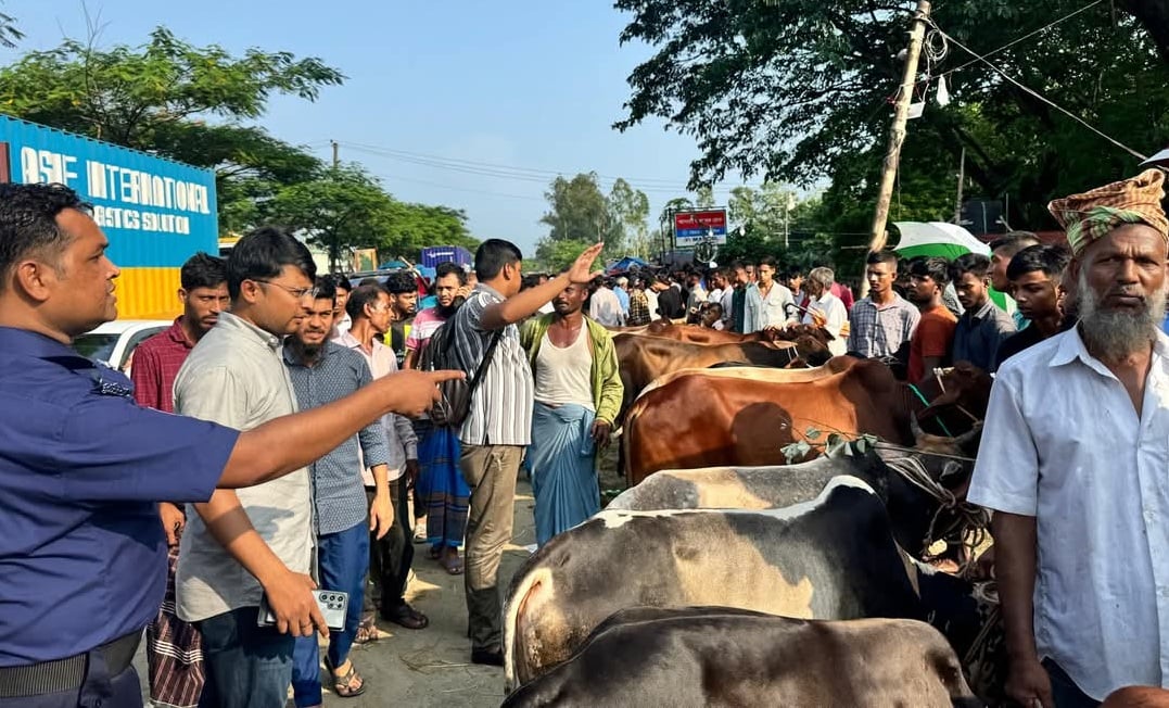 সড়কের পাশে পশুর হাট বসায় সীতাকুণ্ডে যানজট