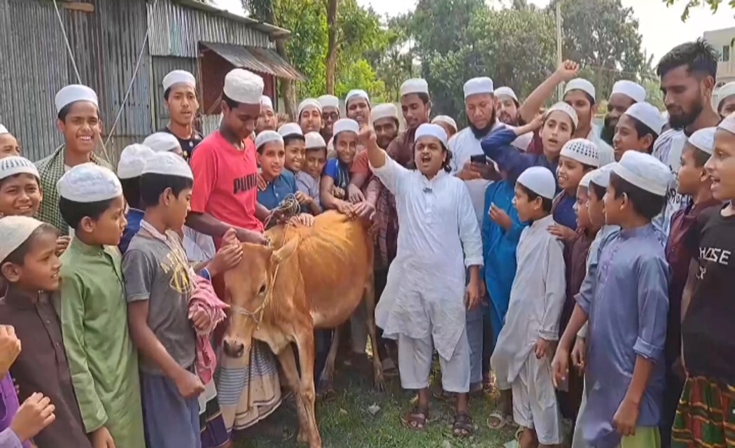 গরু জবাই করে ভূরিভোজ রফিকুল ইসলাম মাদানীর