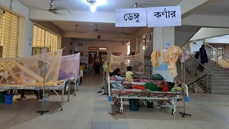ডেঙ্গুর সংক্রমণ আরও বৃদ্ধির শঙ্কা, সমন্বয়হীনতার অভিযোগ সরকারের বিরুদ্ধে