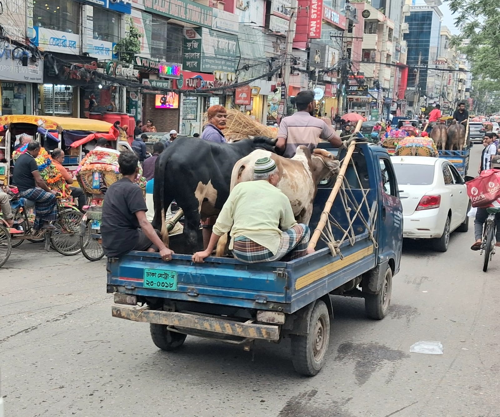 কোরবানির পশু বাড়িতে আনার পর কি করবেন
