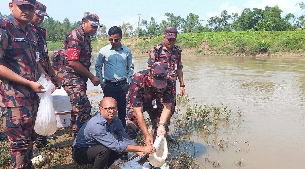 হবিগঞ্জে ২ কোটি টাকার ভারতীয় গলদা চিংড়ির রেণু পোনা জব্দ