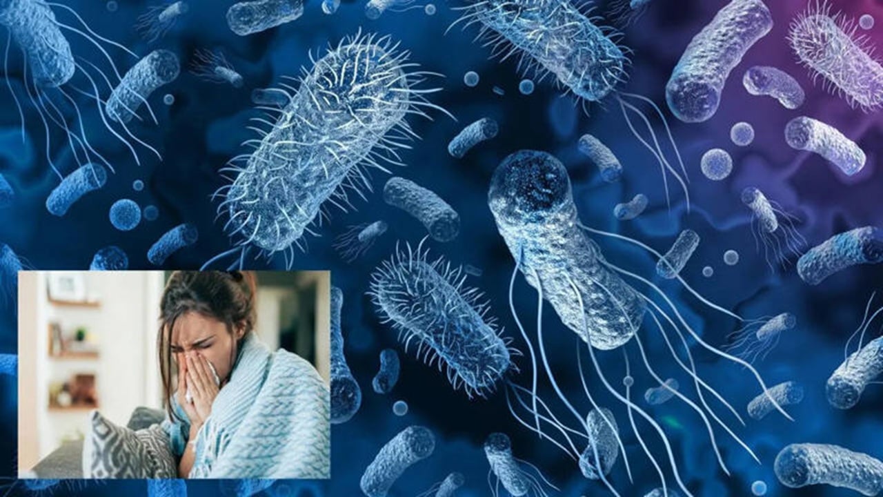 ভারতে ৮৩% রোগীর শরীরে অ্যান্টিবায়োটিক-প্রতিরোধী জীবাণু