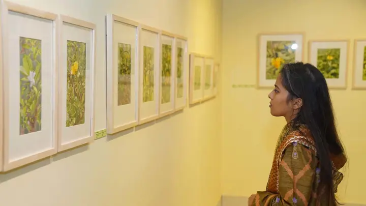 অ্যালিয়ঁস ফ্রঁসেজে তন্ময়ের একক চিত্র প্রদর্শনী ‘সবুজের বৈভব’ শুরু