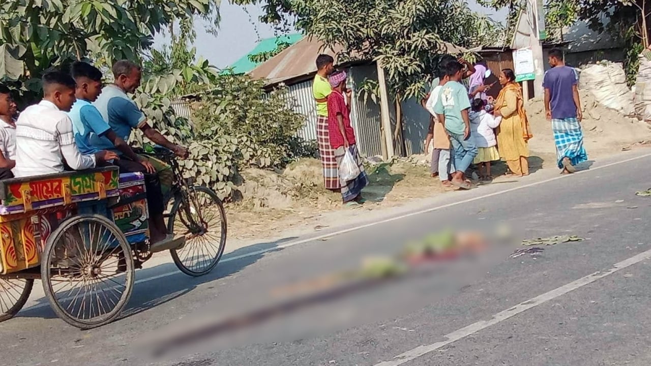 ট্রাকের চাকায় পিষ্ট হয়ে মা-ছেলে নিহত