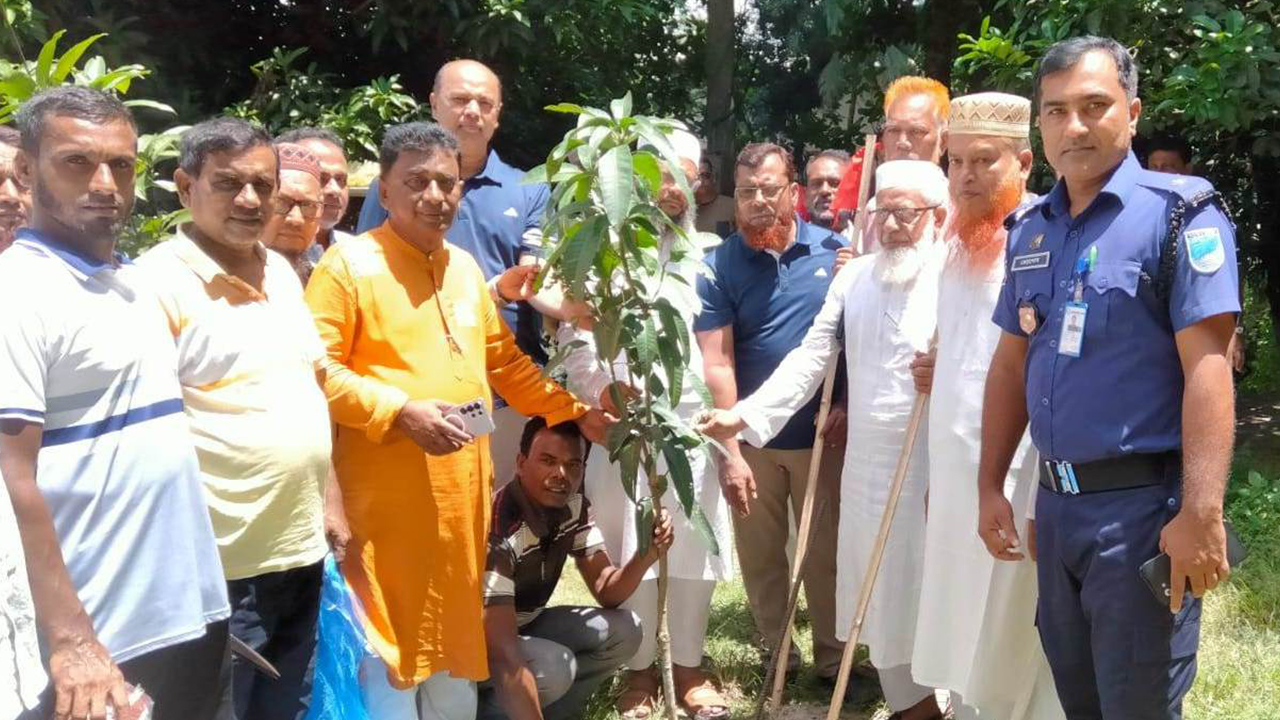 বৃক্ষরোপণ ও নানা কর্মসূচিতে বিএনপির প্রতিষ্ঠাবার্ষিকী উদযাপিত