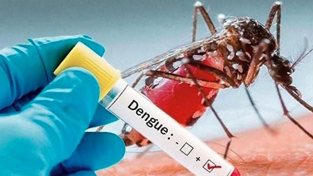 একদিনে ডেঙ্গুতে আরও ৪ জনের মৃত্যু