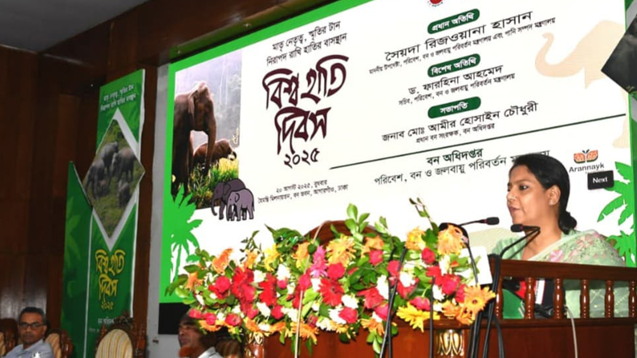 হাতি সংরক্ষণে যেসব পদক্ষেপের কথা জানালেন উপদেষ্টা