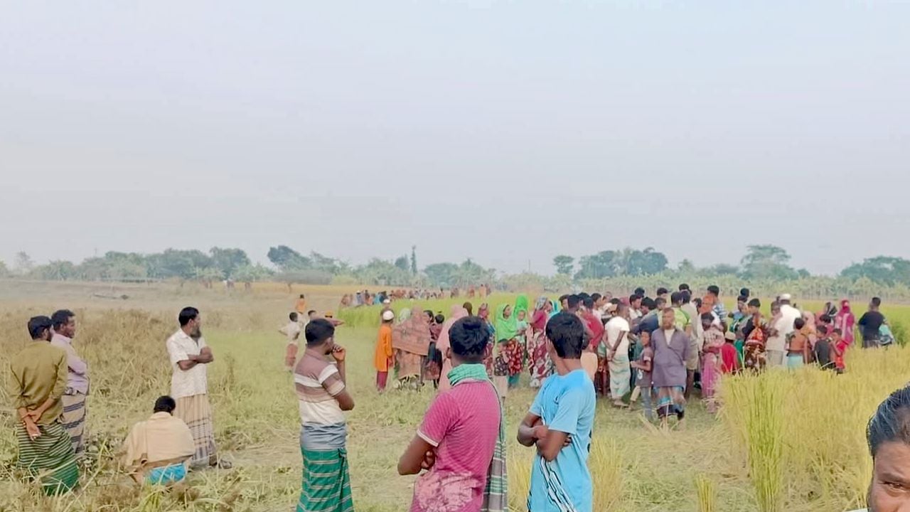 হাইমচরে ৭ মাসের অন্তঃসত্ত্বা স্ত্রীকে হত্যা, ঘাতক স্বামী আটক