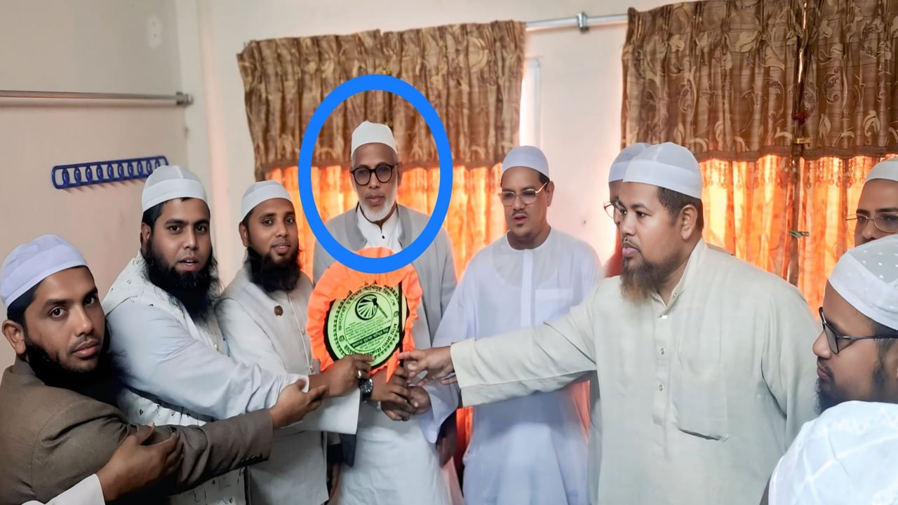 হাতপাখার মনোনয়ন পেলেন পদত্যাগ করা বিএনপির কেন্দ্রীয় নেতা