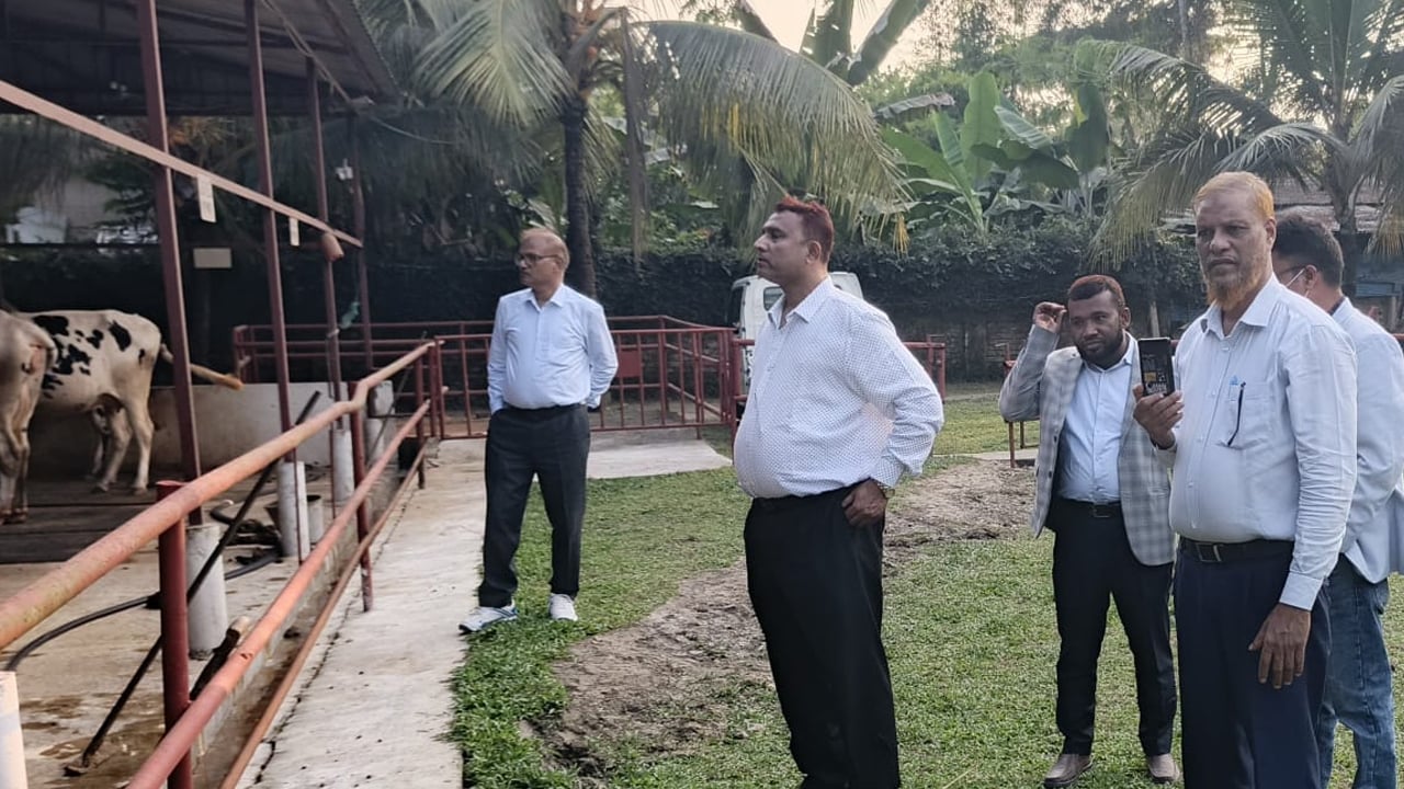 নরসিংদীতে ভূমিকম্পে ক্ষতিগ্রস্ত স্থান পরিদর্শনে প্রতিনিধি দল