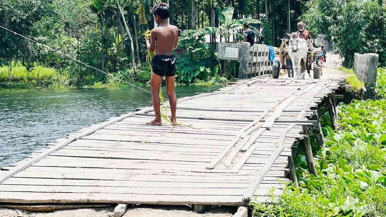 সেতু আছে, সড়ক নেই: বাঁশের সাঁকোয় ঝুঁকি নিয়ে চলাচল ১০ গ্রামের মানুষের