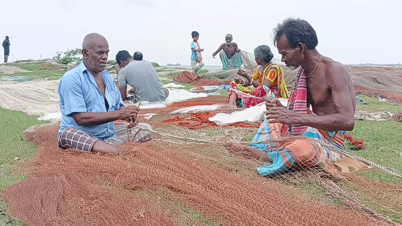 ভরা মৌসুমেও ইলিশের আকাল, কারণ খুঁজতে মাঠে বিশেষজ্ঞ দল