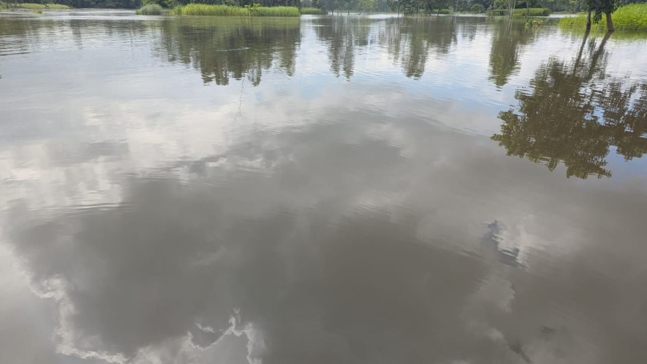 তারাগঞ্জে যমুনেশ্বরীর পানি হঠাৎ বিপৎসীমার ওপরে, দুই পাড়ে ভাঙন