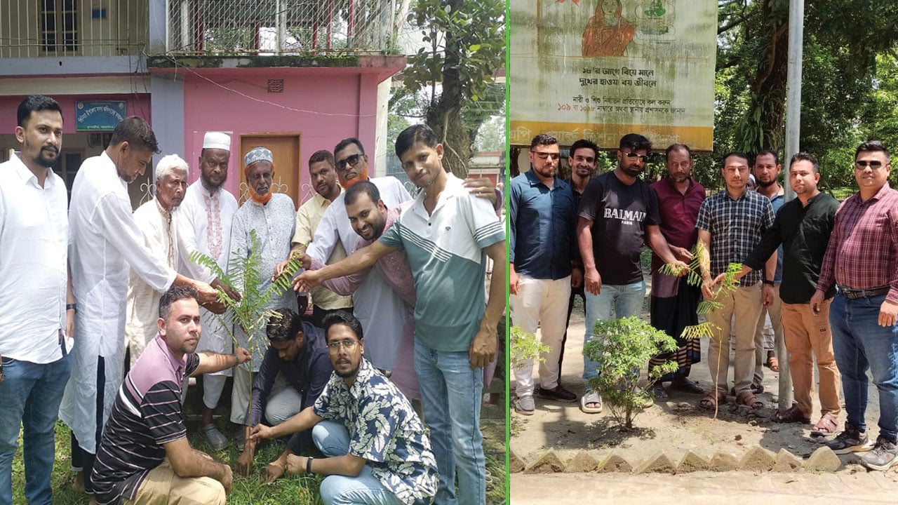 স্বেচ্ছাসেবী সংগঠন ‘জনস্বার্থ ফুলবাড়ীয়া’র এক মাসে ১০ হাজার চারা রোপণ, লক্ষ্য ১০ লাখ 