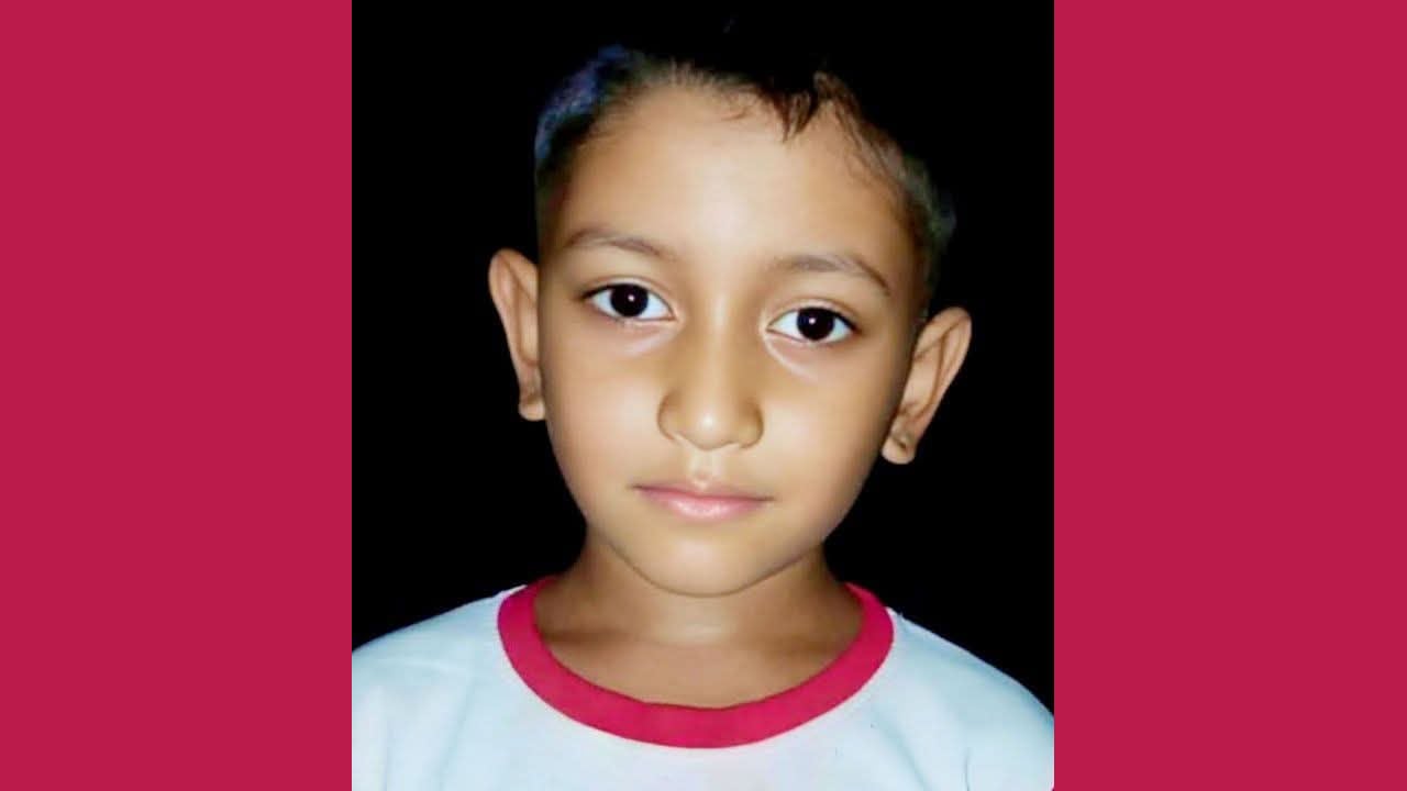 বইয়ের ব্যাগ নিয়ে আর বাড়ি ফেরা হলো না আলিফের