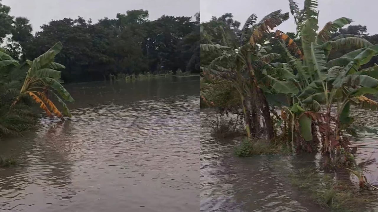 সীতাকুণ্ডে জলাবদ্ধতায় ক্ষতিগ্রস্ত সাড়ে ৩ হাজার কৃষক