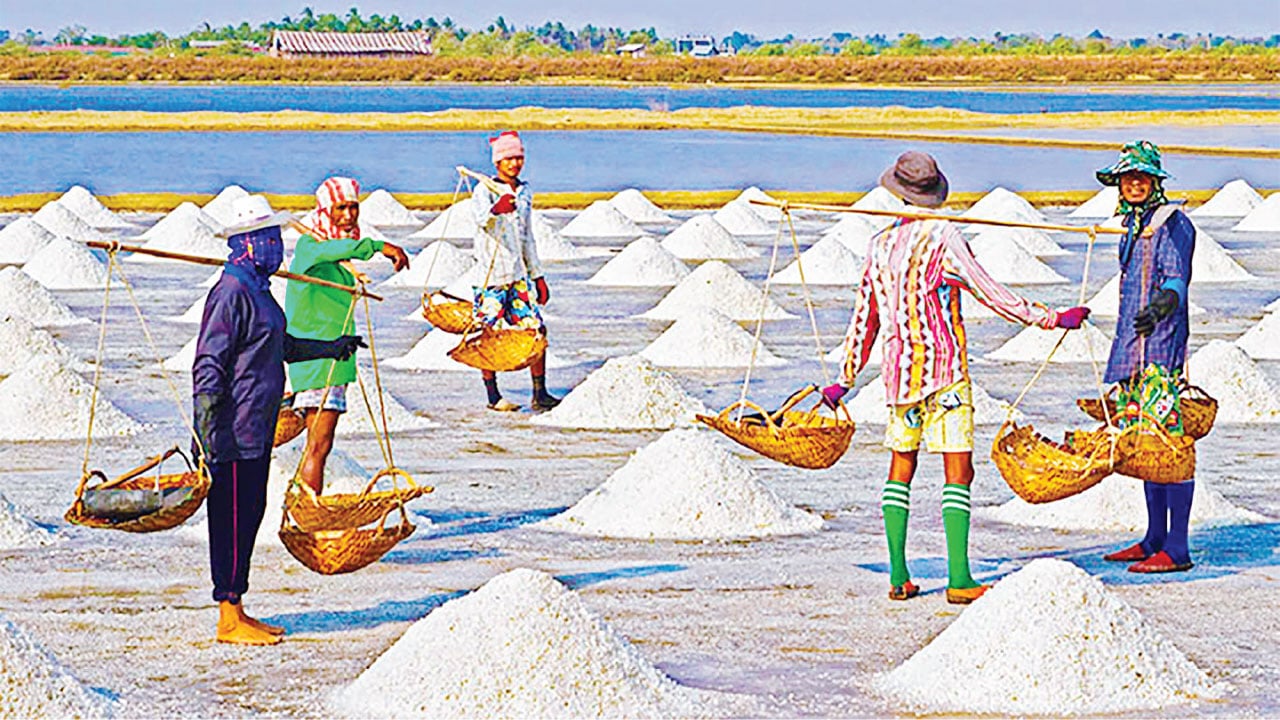 লবণশ্রমিকদের কান্না থামাবে কে