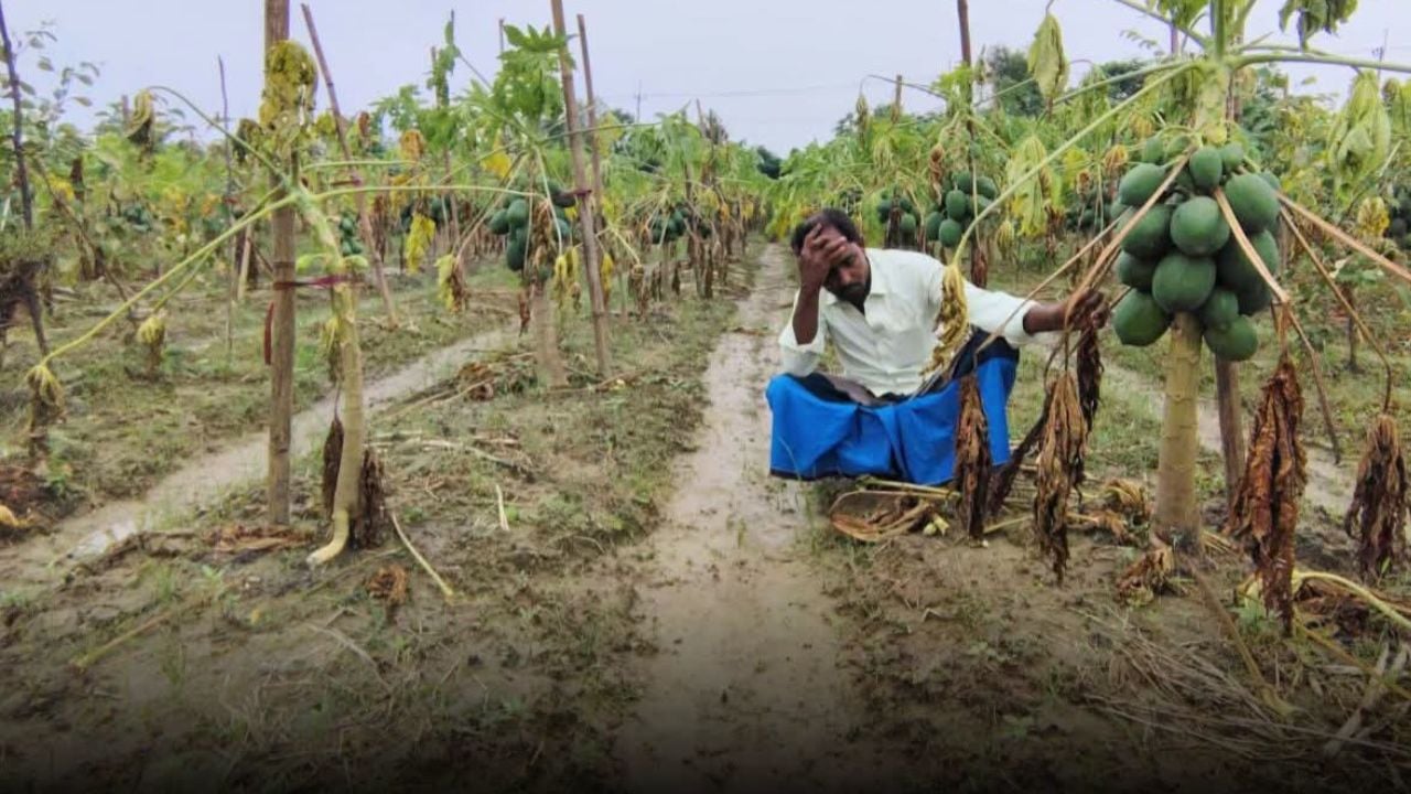 রামুতে বানের পানিতে ডুবে গেল কৃষকের স্বপ্ন 
